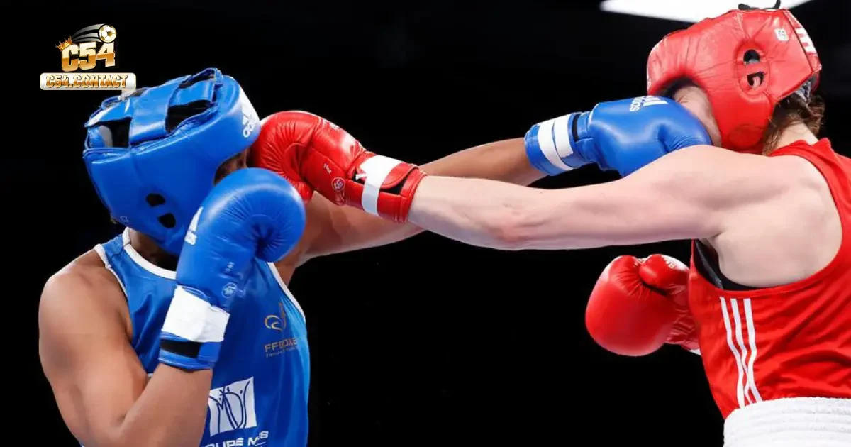 Cá Cược Boxing Online Tại C54 – Đối Kháng Đầy Kịch Tính 3 Các Loại Kèo Cá Cược Trong Boxing